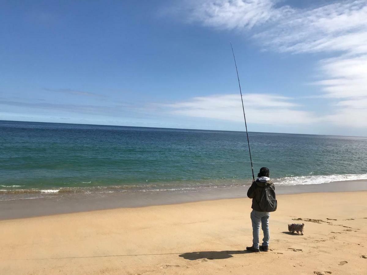 比尼亚德尔马Depa Torre Juan Fernandez公寓 外观 照片