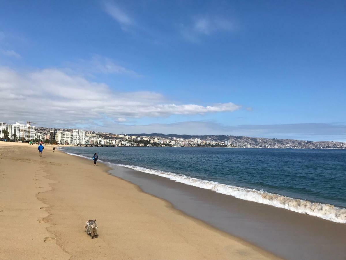 比尼亚德尔马Depa Torre Juan Fernandez公寓 外观 照片